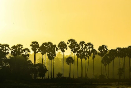Sri Lanka Ostküste: Urlaub abseits der Massen - Image 4