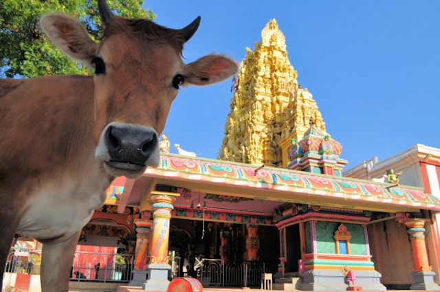 Jaffna-1