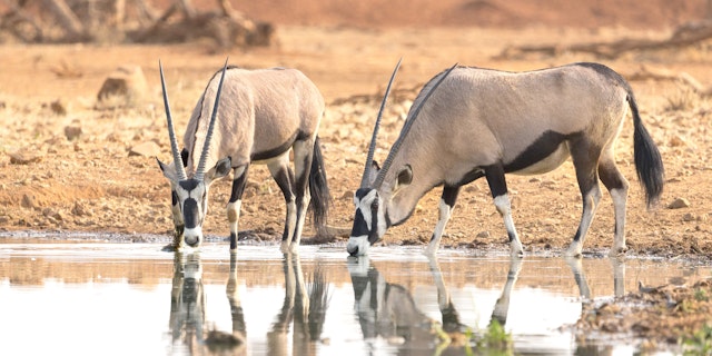 Erindi Game Reserve-2