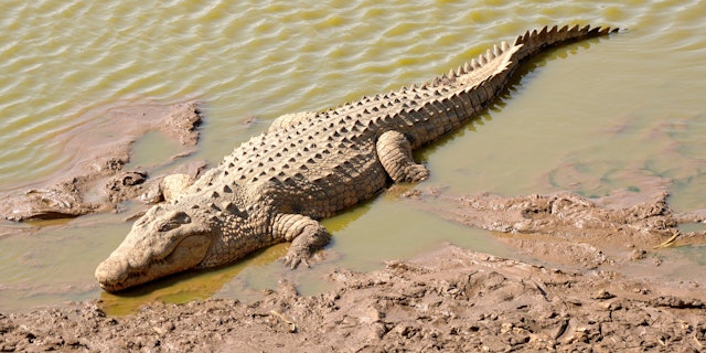 Erindi Game Reserve-1