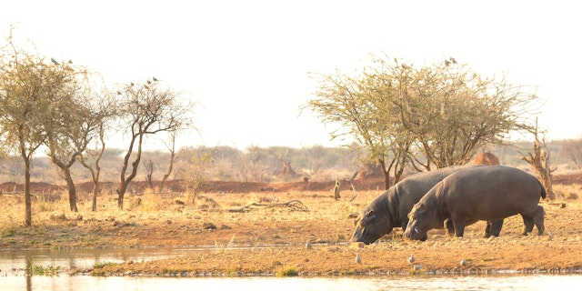 Erindi Game Reserve-5