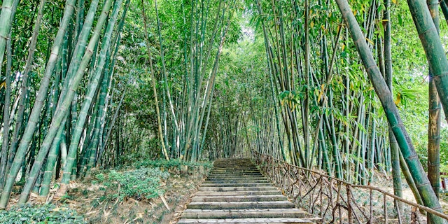 Chengdu-9