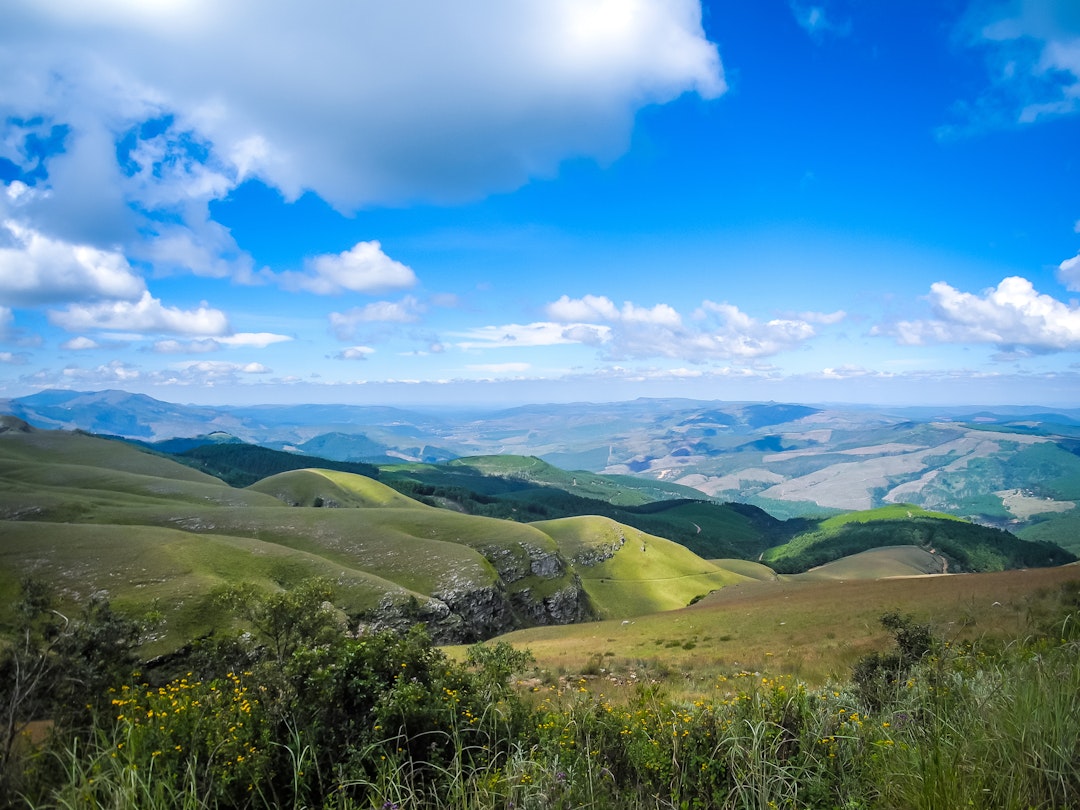 Safari Abenteuer im Norden