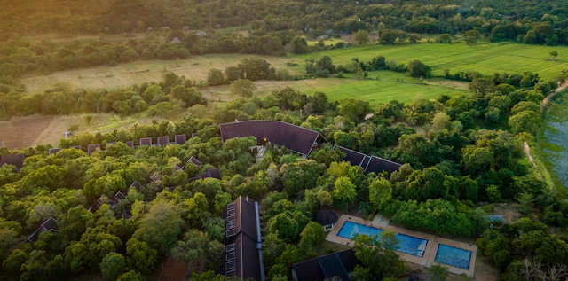 The Paradise Dambulla