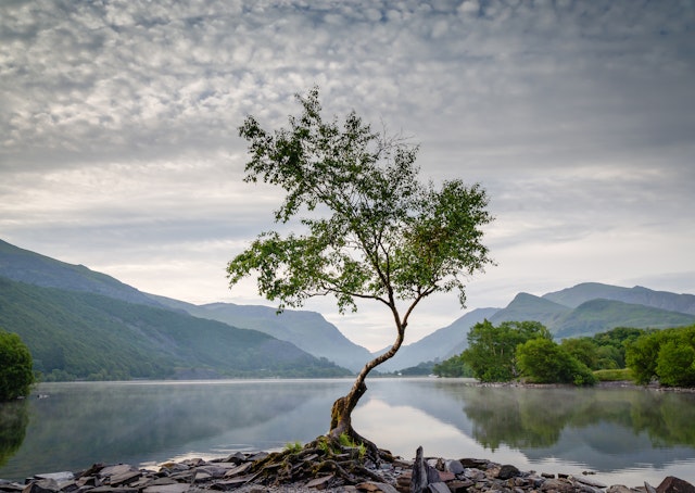 Snowdonia-1