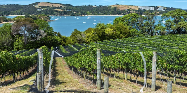 Waiheke Island-1