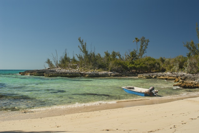 Cat Island-5