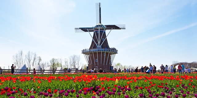 Holland-4