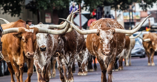 Fort Worth-1