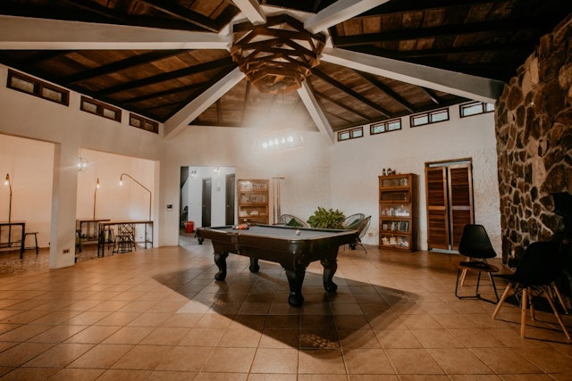 Golden Frog Inn