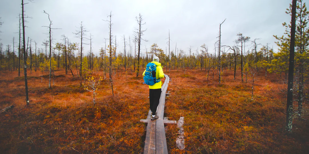 Polarlichter Reise Finnland: 5 Tage Winterzauber in Rovaniemi