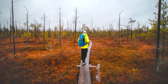 Rovaniemi -7