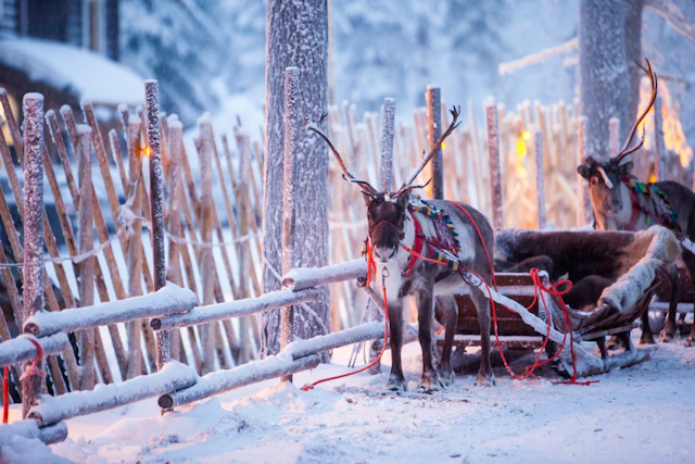 Rovaniemi -13