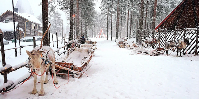 Rovaniemi -1