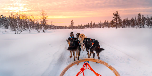 Rovaniemi -4