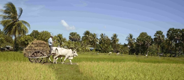Rund- und Badereise durch Kambodscha in 2 Wochen