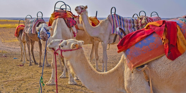 Agafay Desert-1