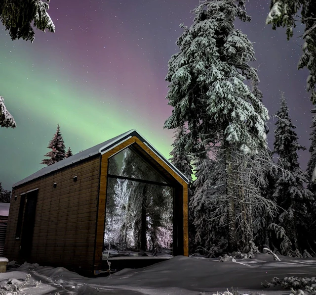 Arctic Nest