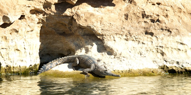 Fitzroy Crossing-1