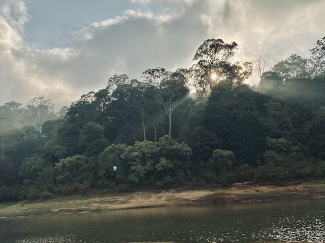 Thekkady-2
