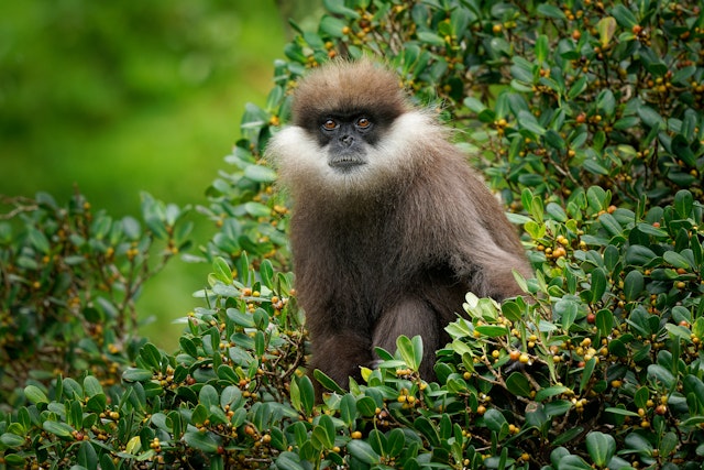 Gal Oya National Park-3