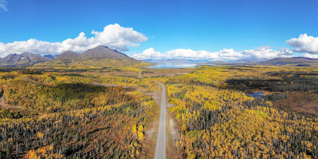 Wohnmobilabenteuer im Yukon und Alaska