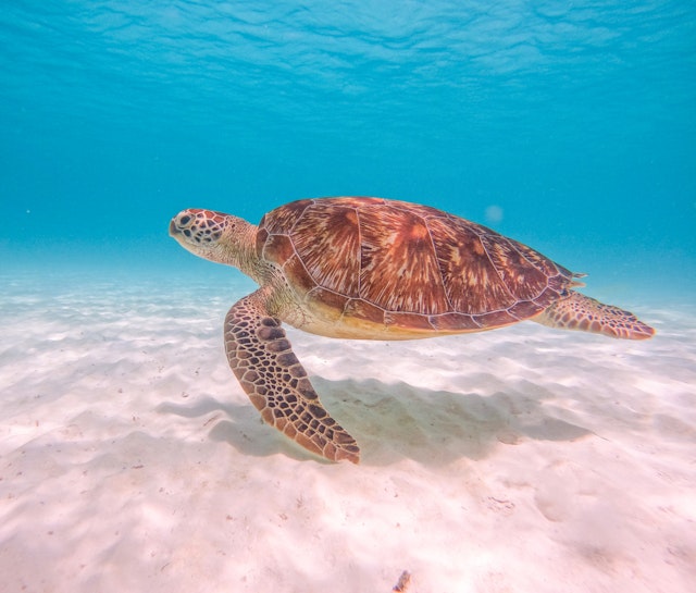 2 semaines aux Maldives