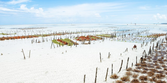Safari und Baden in Tansania: Strand & Abenteuer
