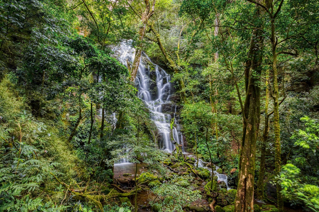 Costa Rica Rundreise: 3 Wochen im Paradies
