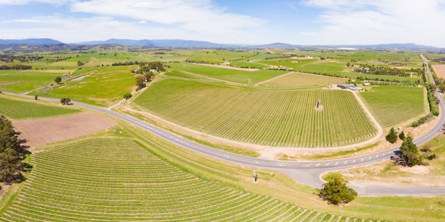 Yarra Valley-5