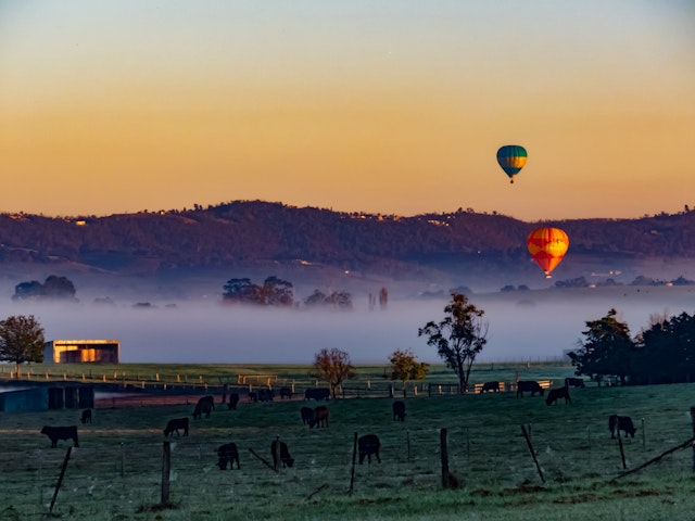Yarra Valley-3