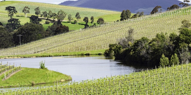 Yarra Valley-3