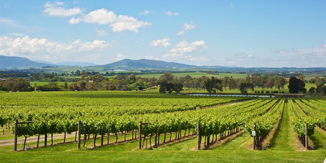 Roadtrip von Melbourne nach Sydney