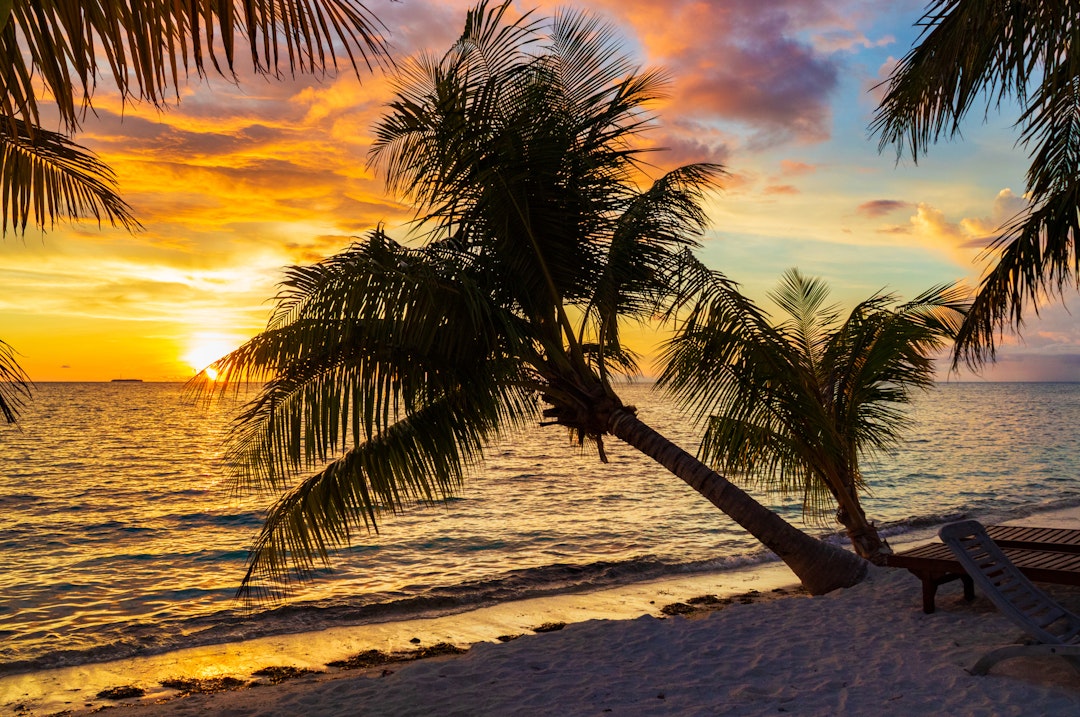 Die Malediven & Singapur: Baden & City-Trip