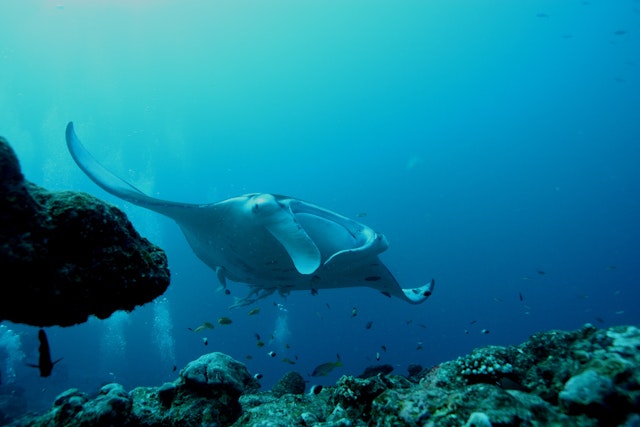 Nord-Malé-Atoll-2