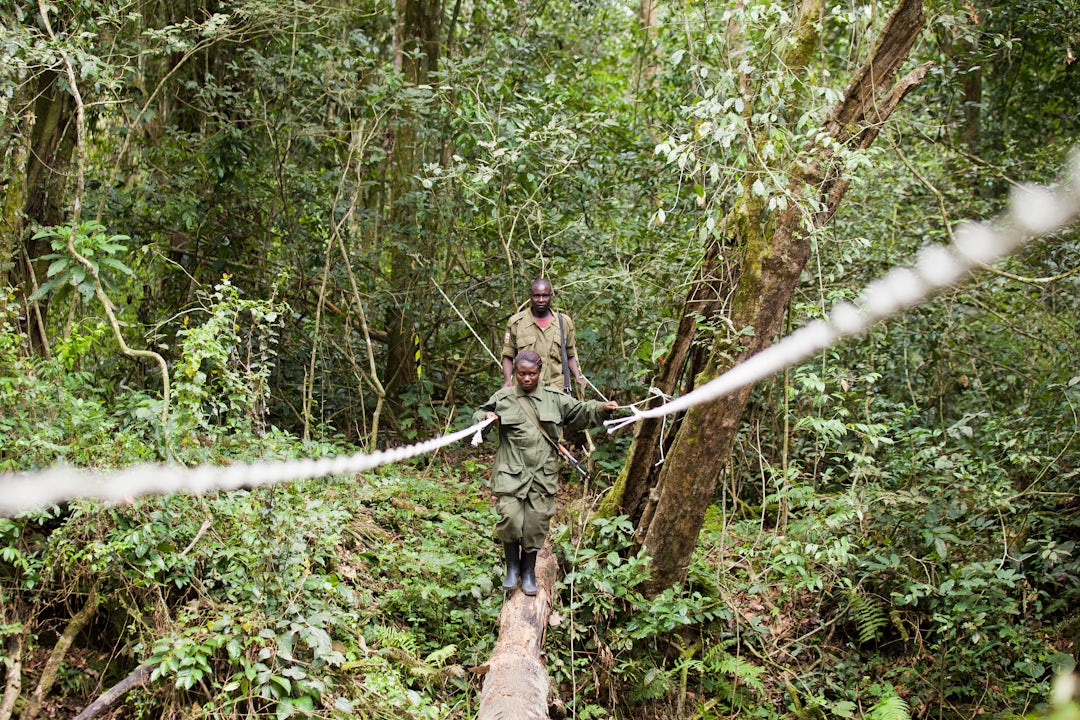 Unvergessliche Abenteuer: Uganda Safari