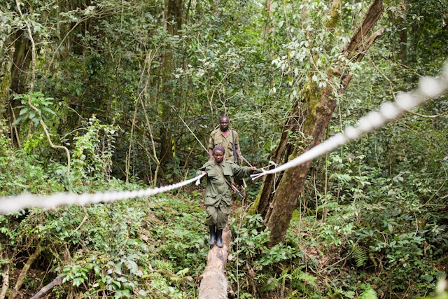 Kibale Forest Nationalpark-0