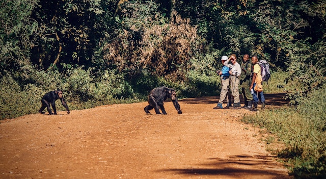 Uganda & Seychellen entdecken: Regenwälder & Ozean