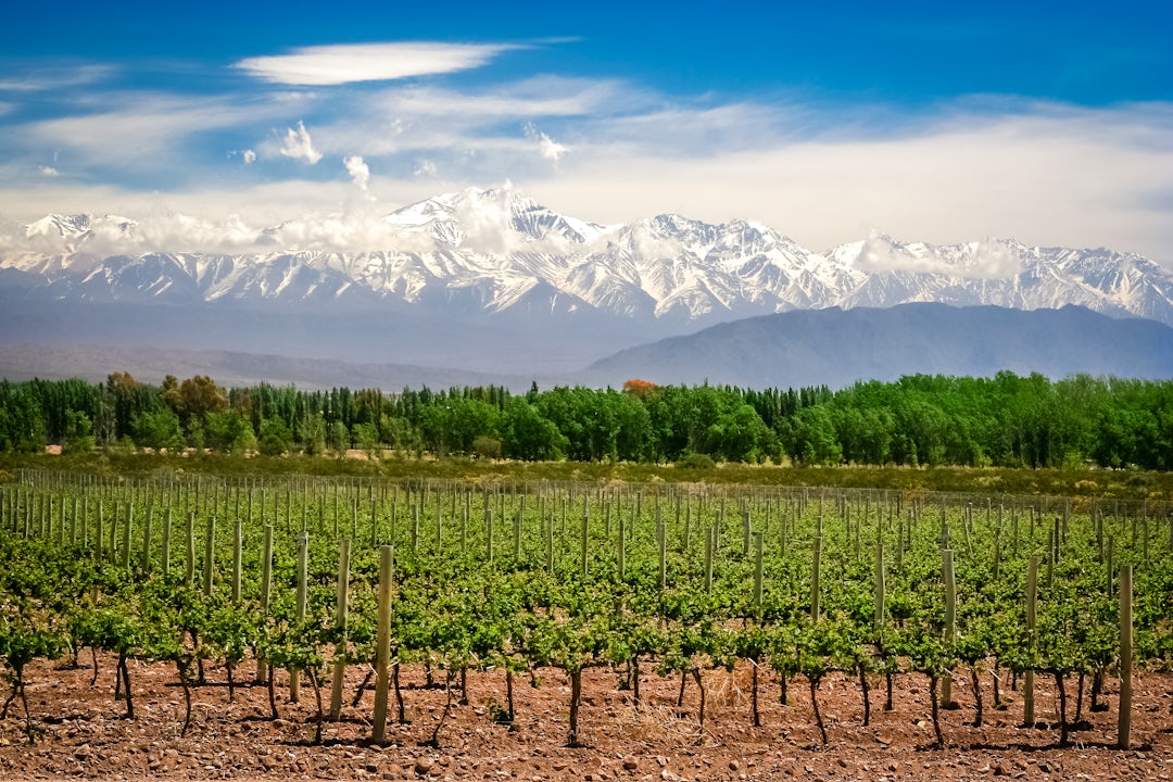 Aventure authentique en Argentine