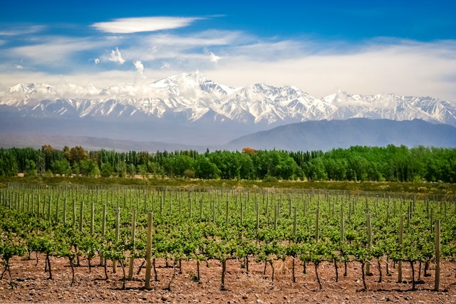 Mendoza-0