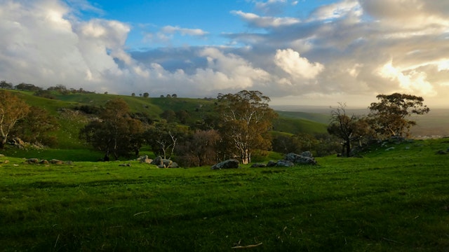 Barossa Valley-5
