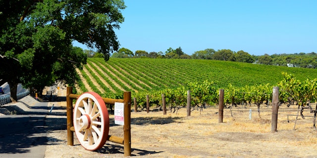 Barossa Valley-9