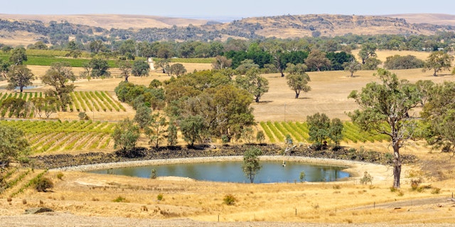 Barossa Valley-4