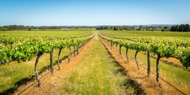 Barossa Valley-2
