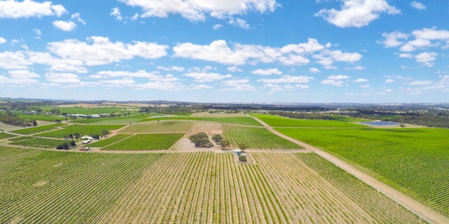 Barossa Valley-9
