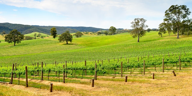 Barossa Valley-7