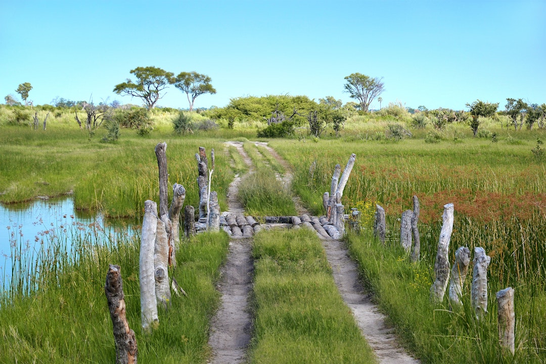 4x4 Safari in Botswana: 13 Tage