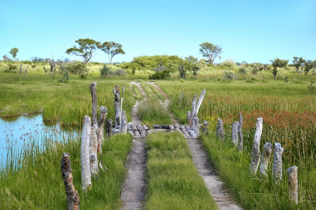 Moremi Game Reserve