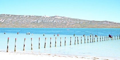 Kapstadt Rundreise 14 Tage: Küste, Winelands & Naturreservate entdecken - Image 3