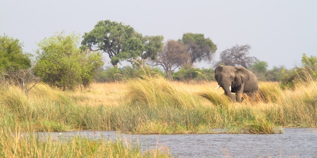 Nkasa-Rupara-Nationalpark-0